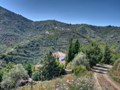 HDR_Finca_East_View