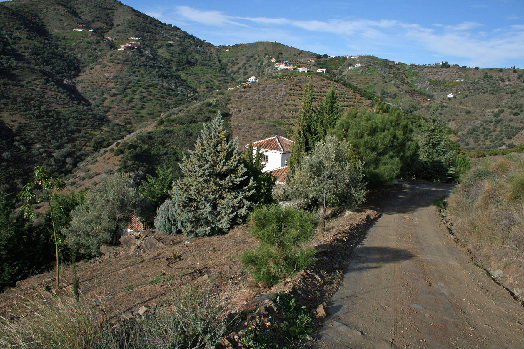 Vakantieverhuur rechtstreeks van de eigenaar-Finca met zwembad en zeezicht in Competa Andalusie