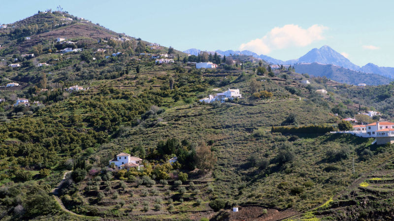 Vakantieverhuur rechtstreeks van de eigenaar-Finca met zwembad en zeezicht in Competa Andalusie