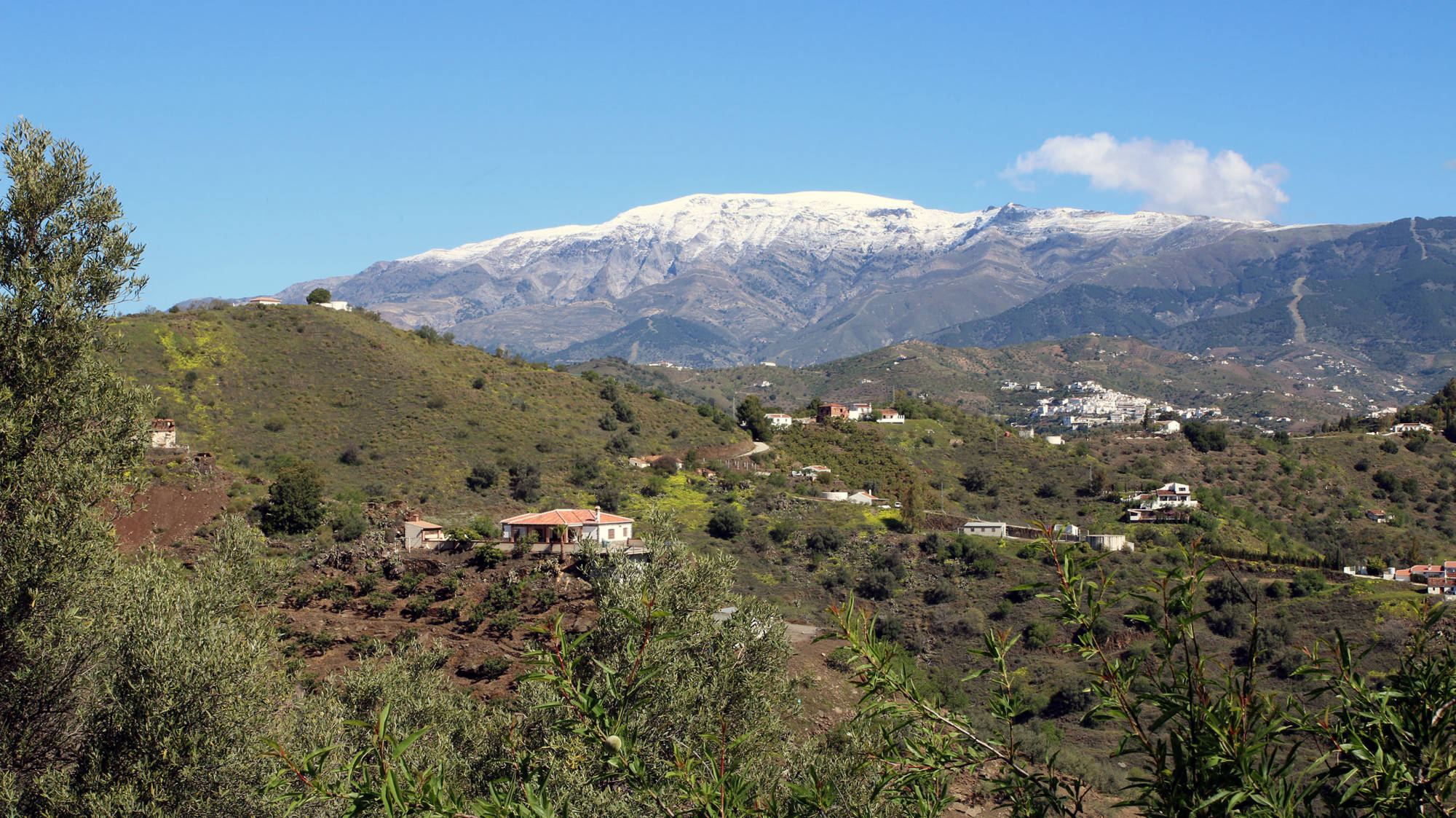 Vakantieverhuur rechtstreeks van de eigenaar-Finca met zwembad en zeezicht in Competa Andalusie